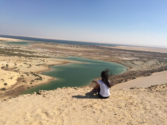 {"en":"Wadi-Al-Hitan El Fayoum Oasis"}