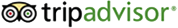 dsasad dsasad