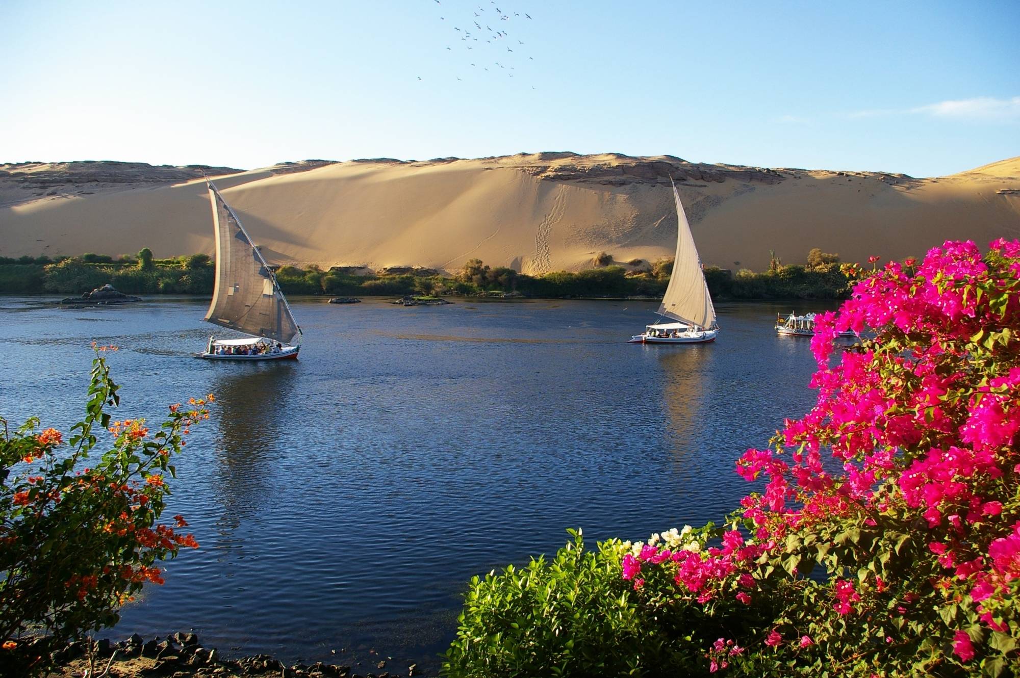 felucca aswan
